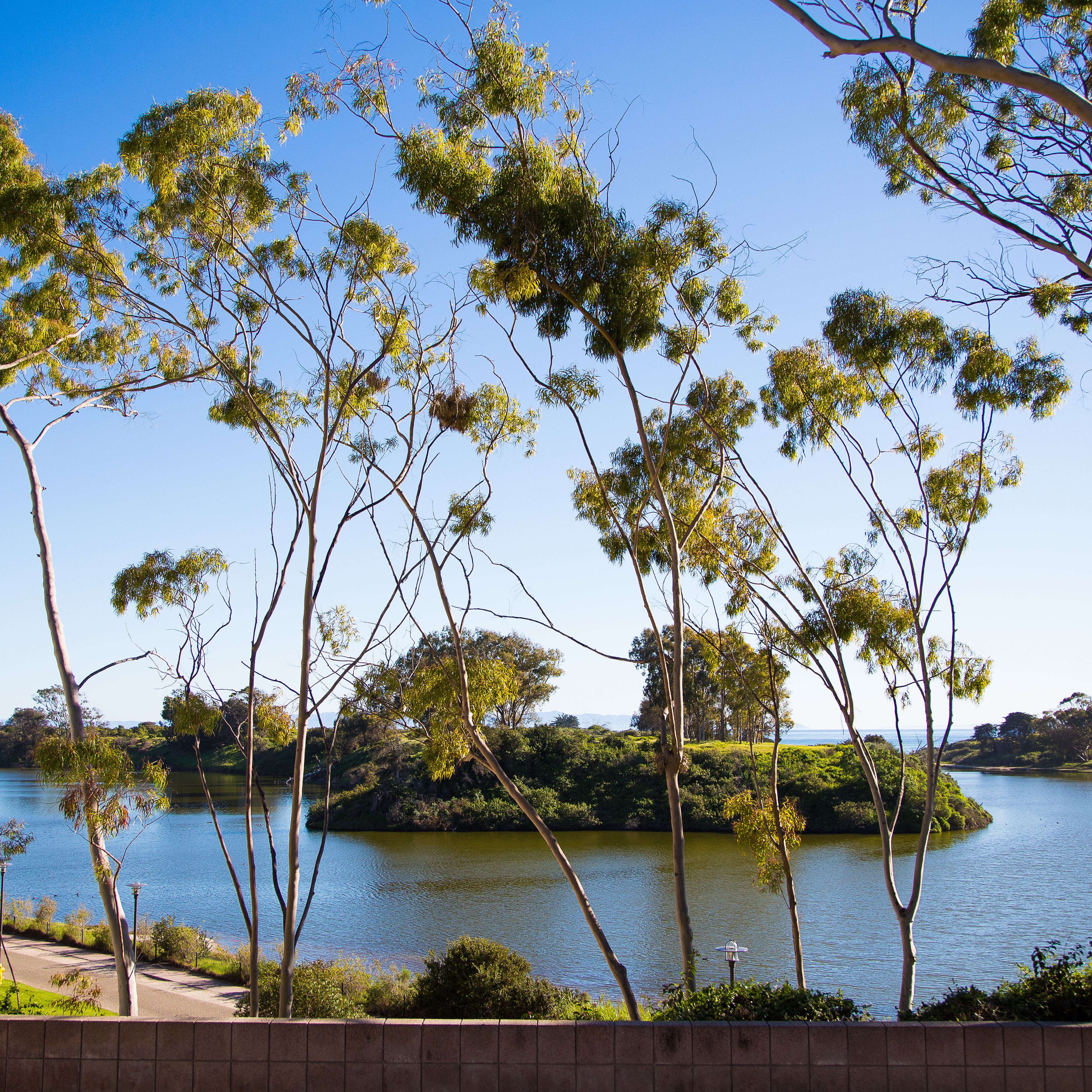 UCSB Lagoon Image
